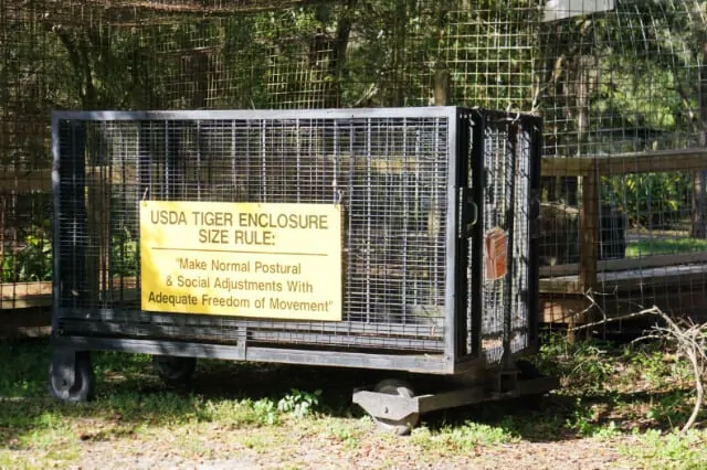 Big Cat Rescue Review by Fluffy Kitty