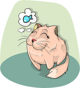 Best Cat Treats | Fluffy Kitty