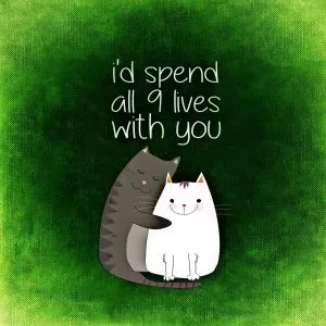 Health Benefits of Owning a Cat