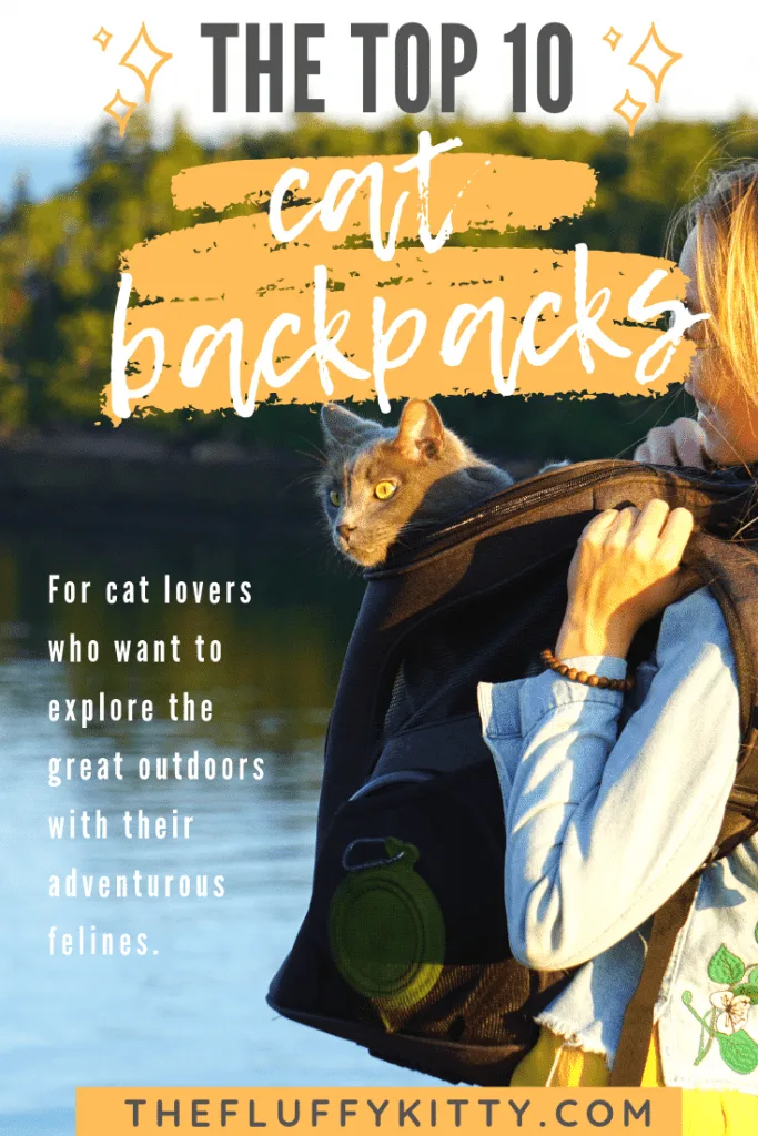 10 Best Cat Backpacks Ultimate Guide | THE FLUFFY KITTY | thefluffykitty.com