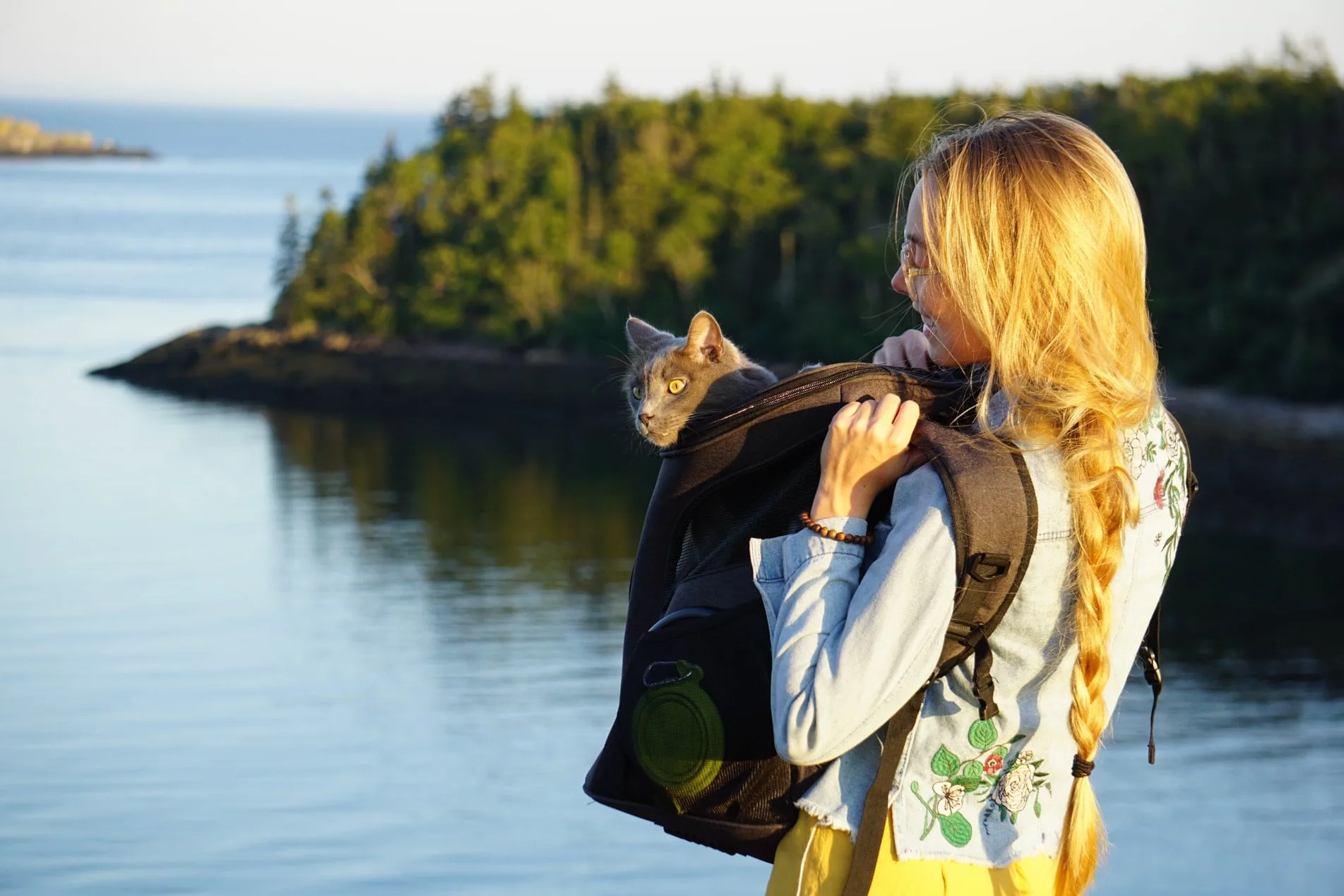 cat travel backpack