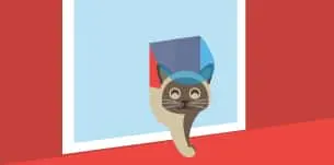 5 Things You Should Know Before Buying a Cat Door | Fluffy Kitty