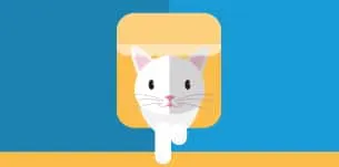 5 Things You Should Know Before Buying a Cat Door | Fluffy Kitty