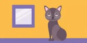 5 Things You Should Know Before Buying a Cat Door | Fluffy Kitty