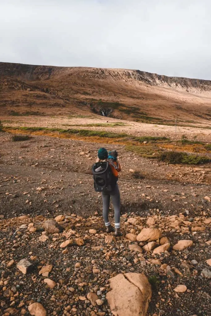 girl wearing cat backpack and holding cat on a hike in Canada