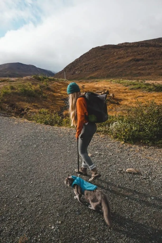 girl hiking with an adventure cat on leash outside
