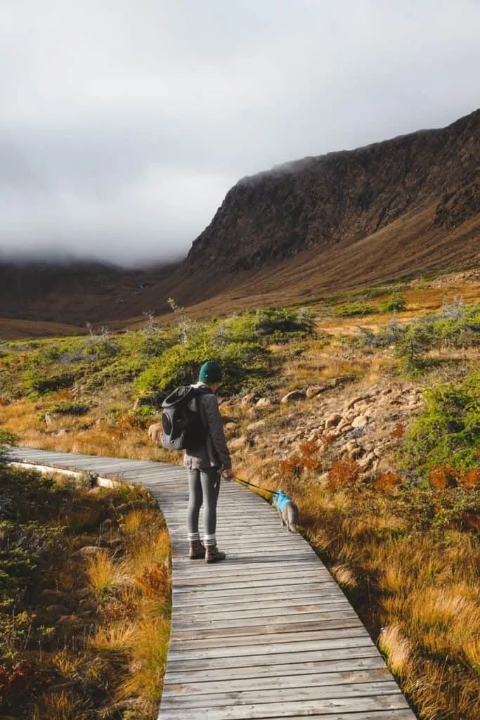 woman wearing cat backpack and hiking with a cat