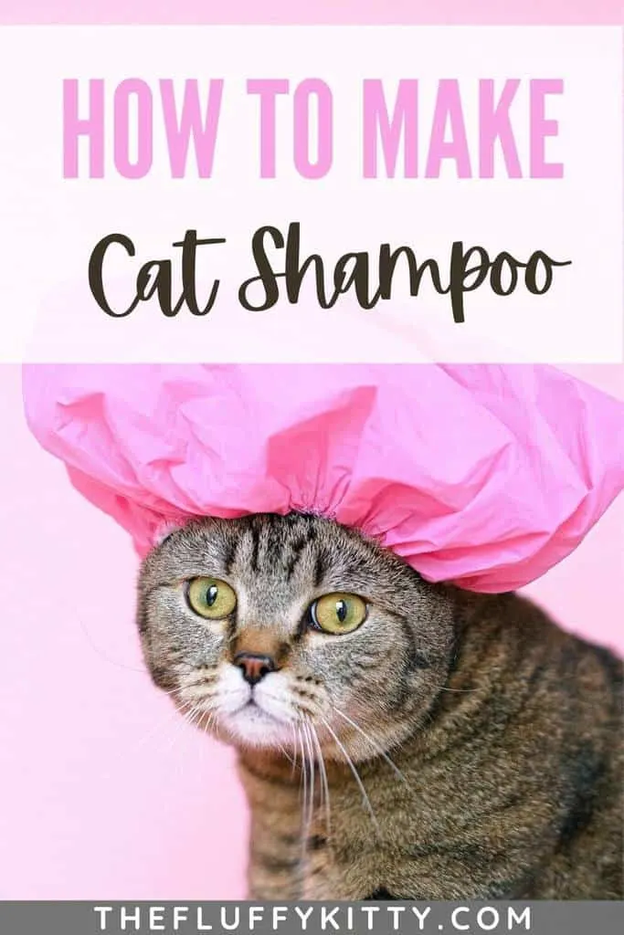 cat shampoo pin 2