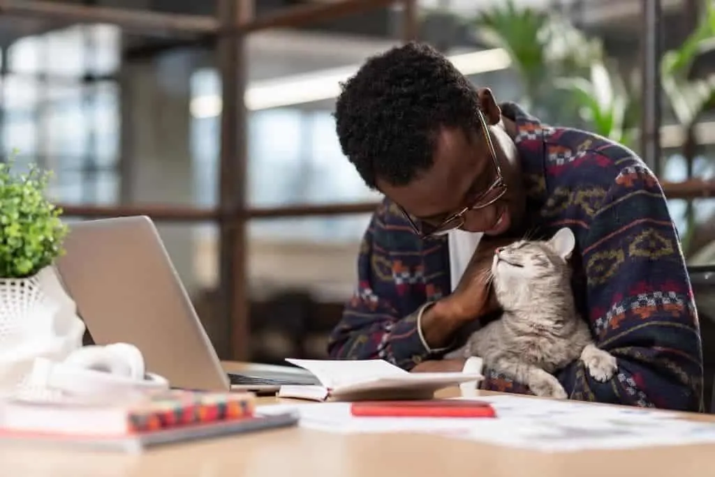 cat snuggling with man in office