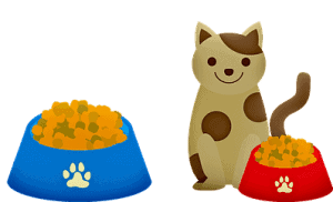 Cat Food | Fluffy Kitty