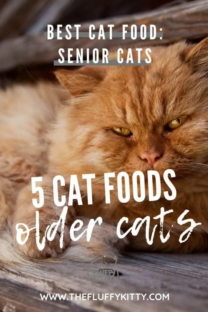5 Cat Foods for Senior + Aging Cats #cats #seniorcats #oldcats #catfood Guide by Fluffy Kitty www.thefluffykitty.com
