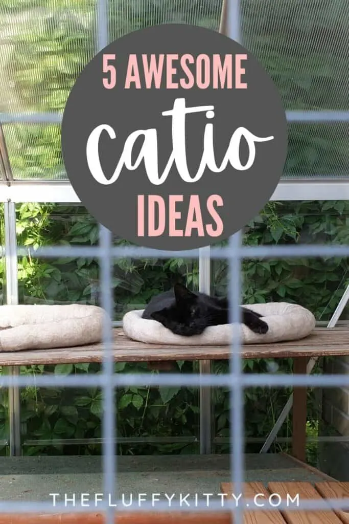 cat in cat bed inside outdoor catio