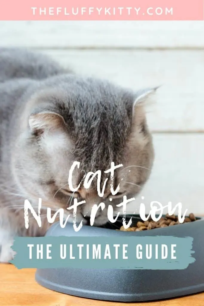 Cat Nutrition ULTIMATE GUIDE - Everything you need to know about your kitty's nutrition, vitamins minerals, best foods, etc. #catfoods #cats #cat #catlovers The Fluffy Kitty www.thefluffykitty.com