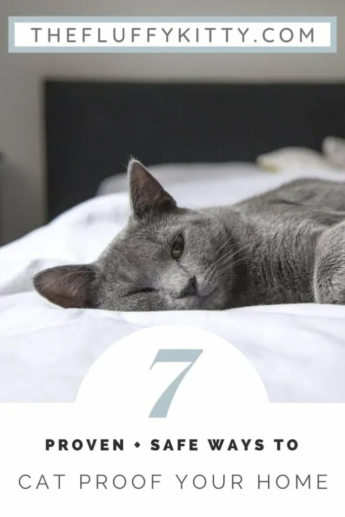 7 Ways to Cat-Proof Your Home #cats #catlovers #home #catcare