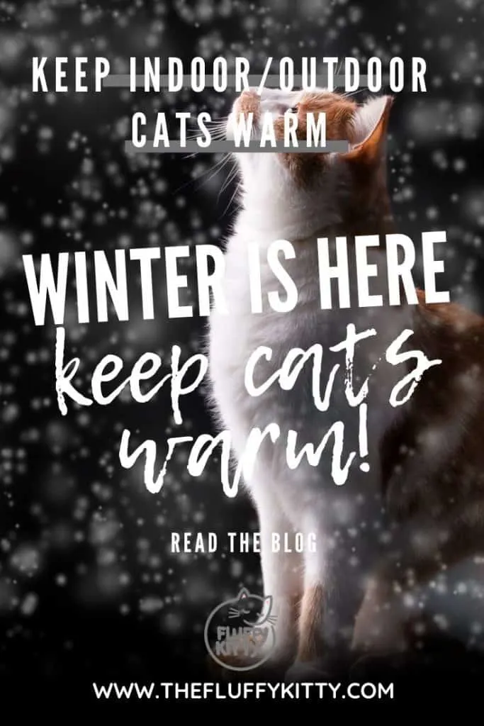 Winter Guide to Keeping Cats Warm (for Indoor & Outdoor Cats) www.thefluffykitty.com The Fluffy Kitty #winteriscoming #cats #indoorcats #outdoorcats