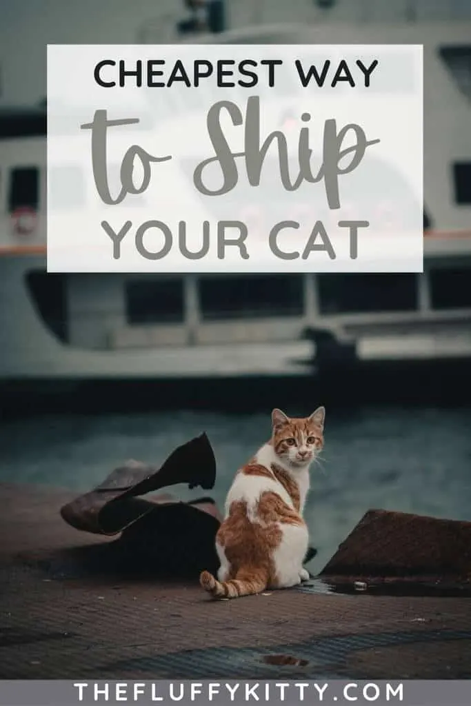 cheapest way to ship a cat pin 1