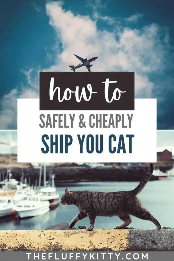 cheapest wy to ship a cat pin 2