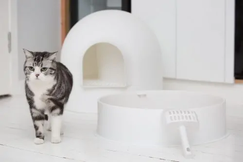smell proof litter box