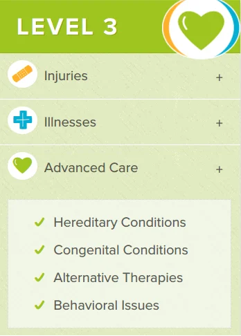 Best cat health insurance // Fluffy Kitty