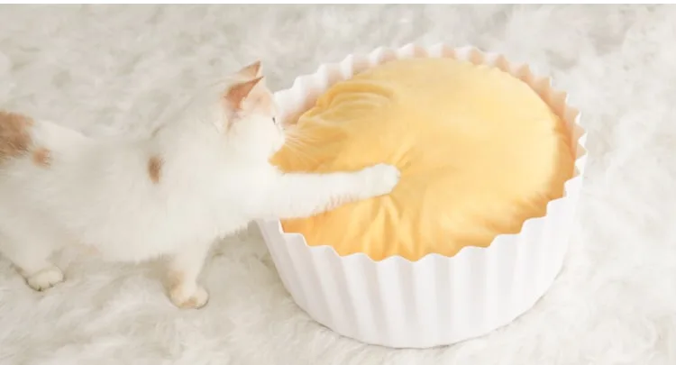 Fluffy Kitty Review: Cozy Egg Tart Cat Bed