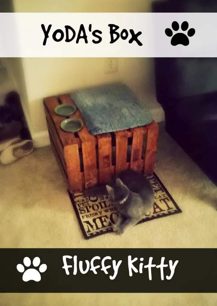 How to make a cat litter box enclosure