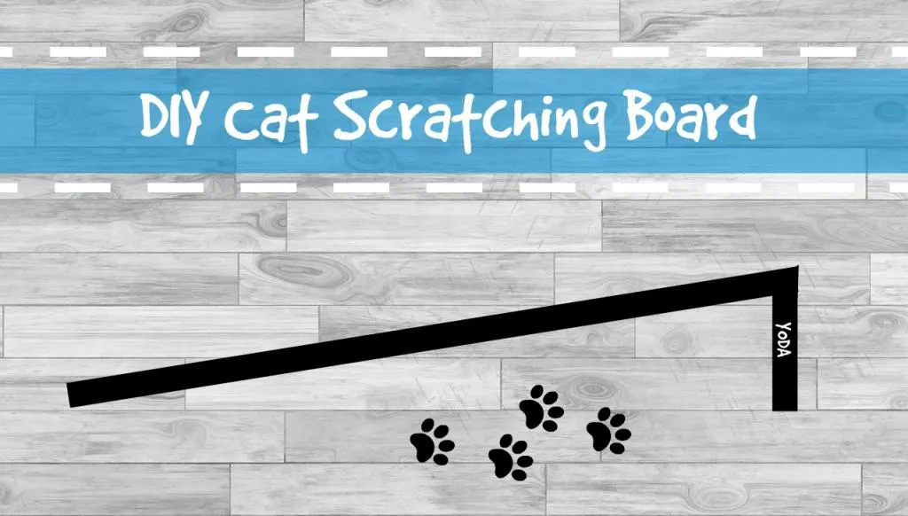DIY cat scratching board header