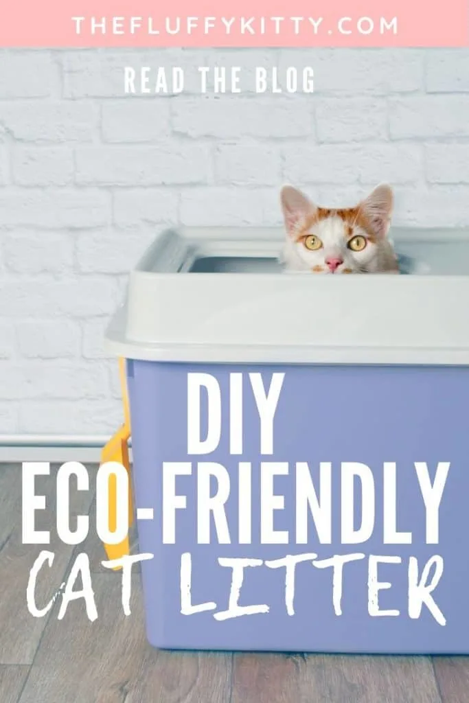 DIY Eco-Friendly Cat Litter #cats #catlitter #ecofriendly #diy | Fluffy Kitty
