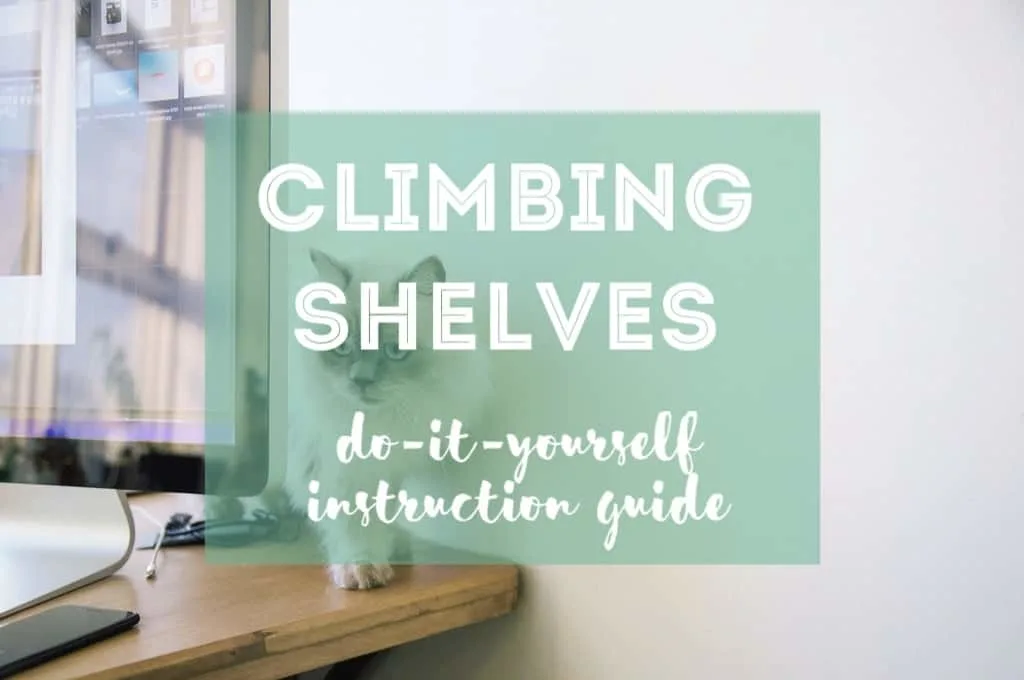 DIY Cat Climbing Shelves | Fluffy Kitty