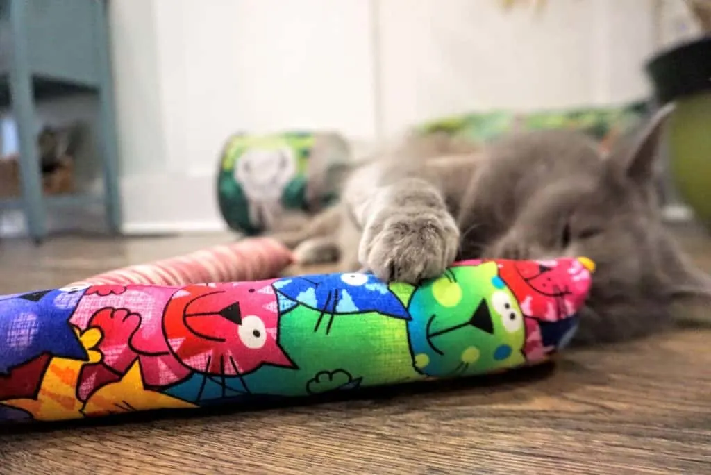 Kitty Kick Stix Review | Fluffy Kitty