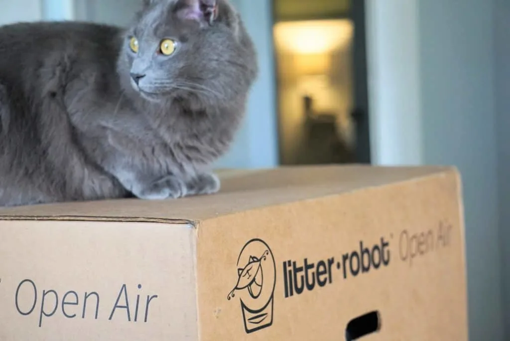 Litter-Robot III Open Air with Connect Review | Fluffy Kitty