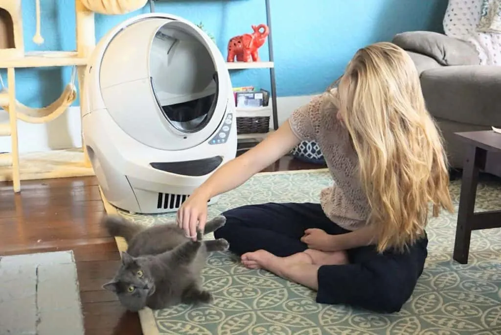Litter-Robot III Open Air with Connect Review | Fluffy Kitty