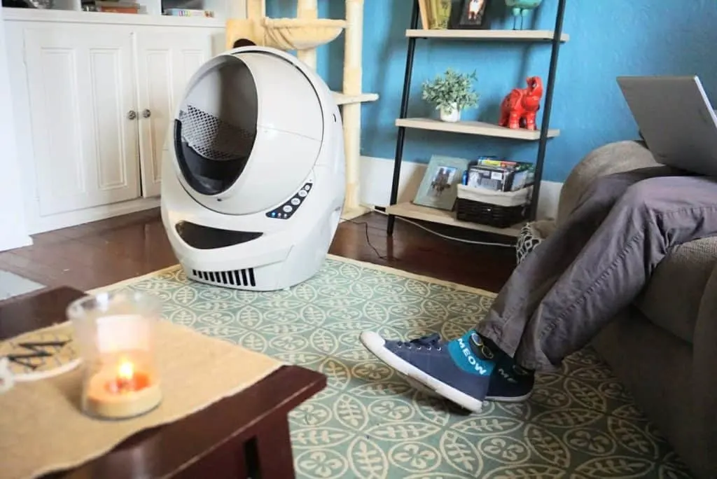Litter-Robot III Open Air with Connect Review | Fluffy Kitty