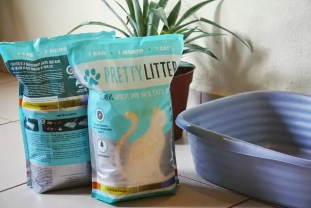 PrettyLitter Review | Fluffy Kitty