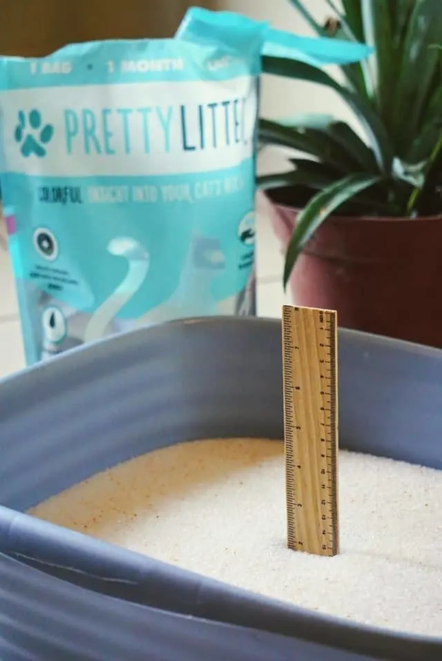 PrettyLitter Review | Fluffy Kitty