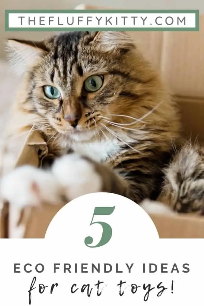 Eco-Friendly Cat Toys (Guide) | The Fluffy Kitty #ecofriendly #greenliving #pets #cats #lifestyle