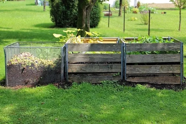Eco-Friendly Ways to Dispose of Cat Litter