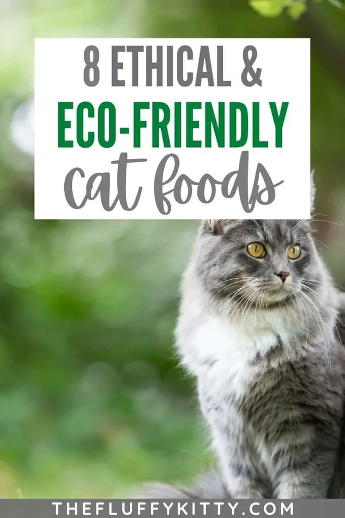 Ethical & Eco-Friendly Cat Food - The Fluffy Kitty