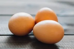 can cats eat eggs