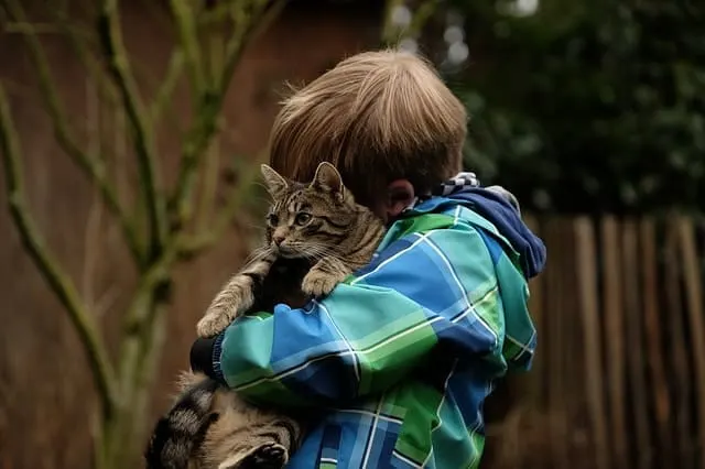 Estimated Cost of Owning A Cat