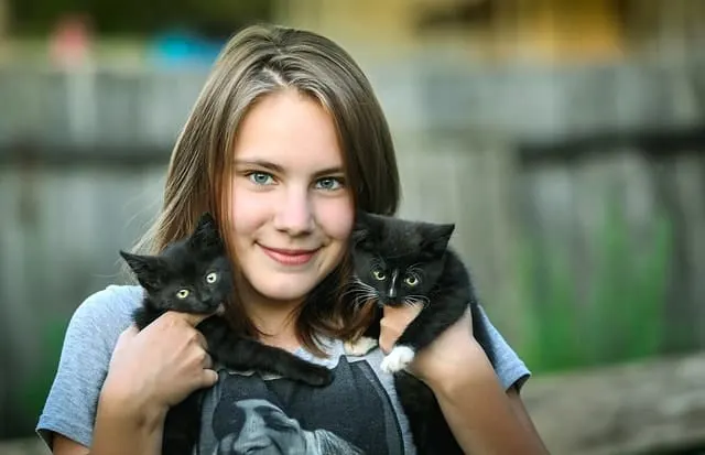 Estimated Cost of Owning A Cat