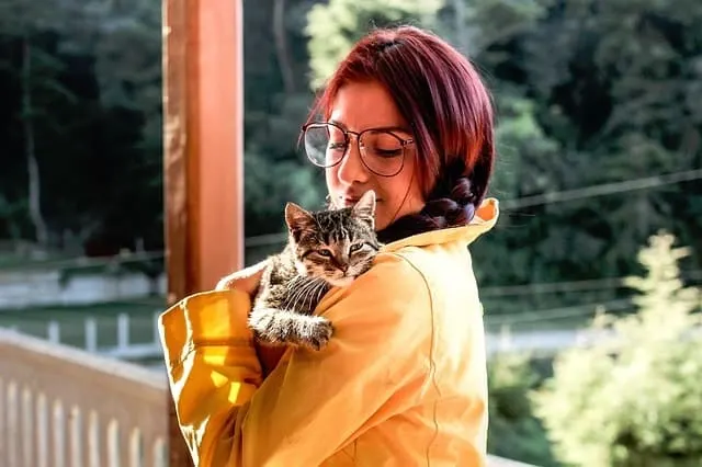 Estimated Cost of Owning A Cat | Fluffy Kitty