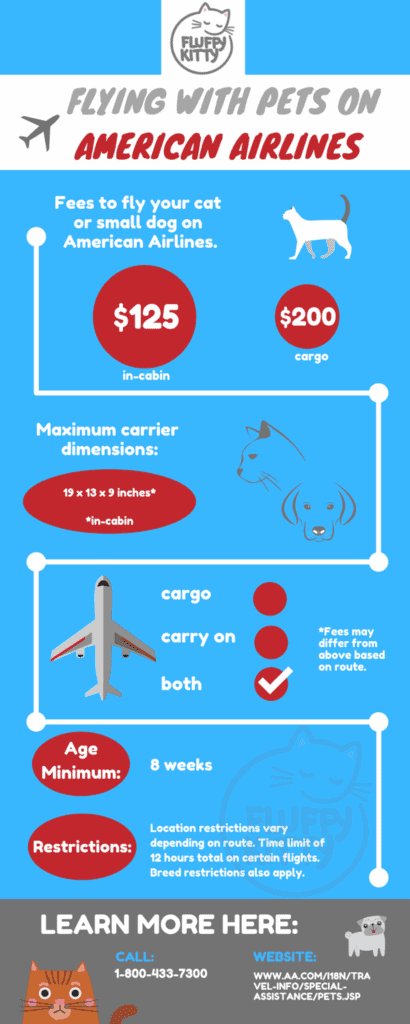 Best Airlines for Cats | Fluffy Kitty