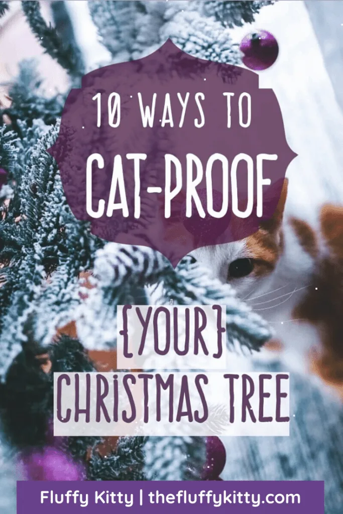 10 Ways to Cat-Proof Your Christmas Tree | Fluffy Kitty