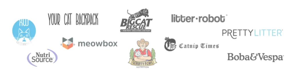 Fluffy Kitty Features & Partners | Fluffy Kitty Blog