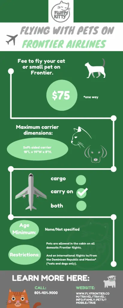 Frontier Pet Policy | Best Airlines for Cats