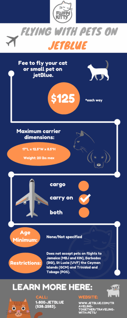 jetBlue pet policy | Best Airlines for Cats by Fluffy Kitty