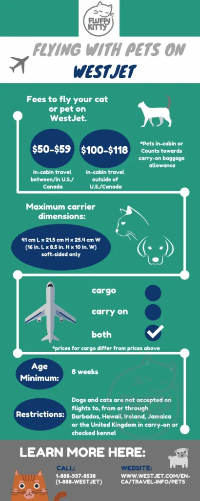 WestJet Pet Policy | Best Airlines for Cats by Fluffy Kitty