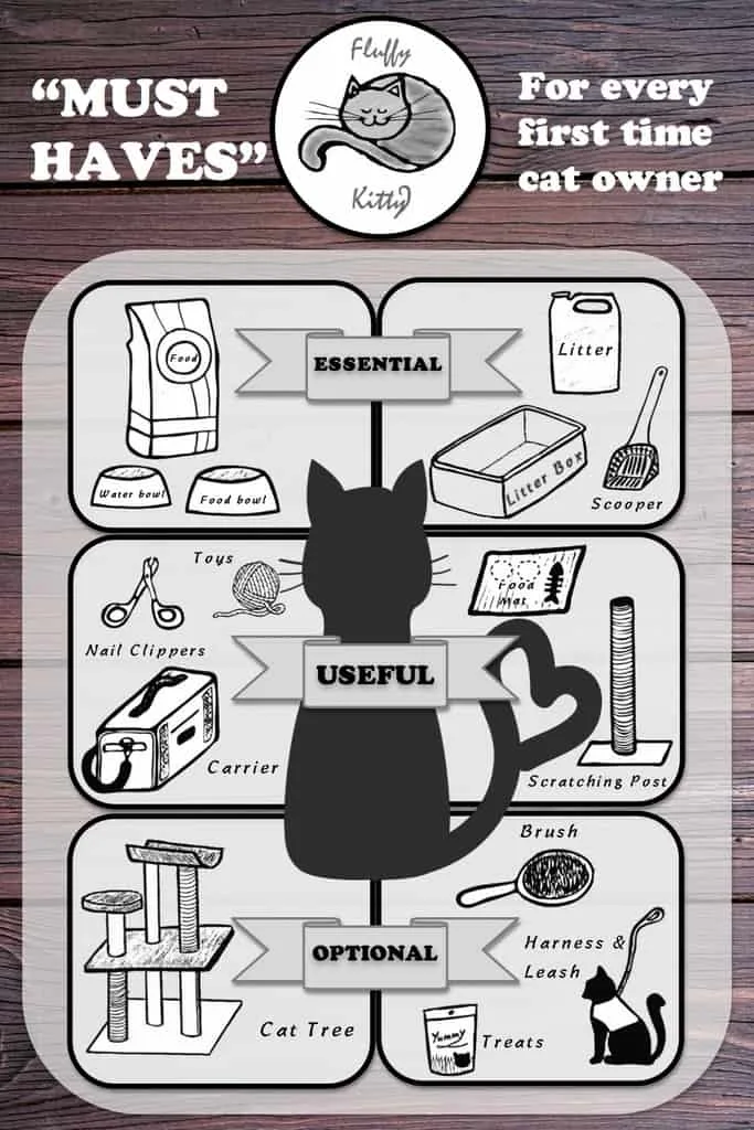 owning a cat for the first time infographics