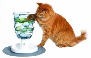 Best Christmas Gifts for Cats/Fluffy Kitty