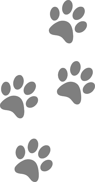 Paw Prints